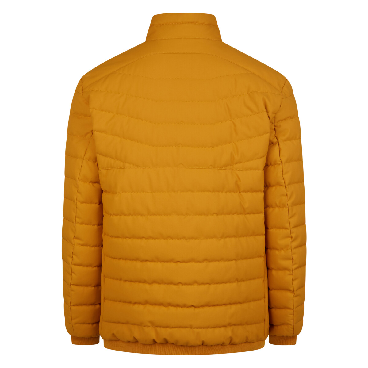 Structured Jacket