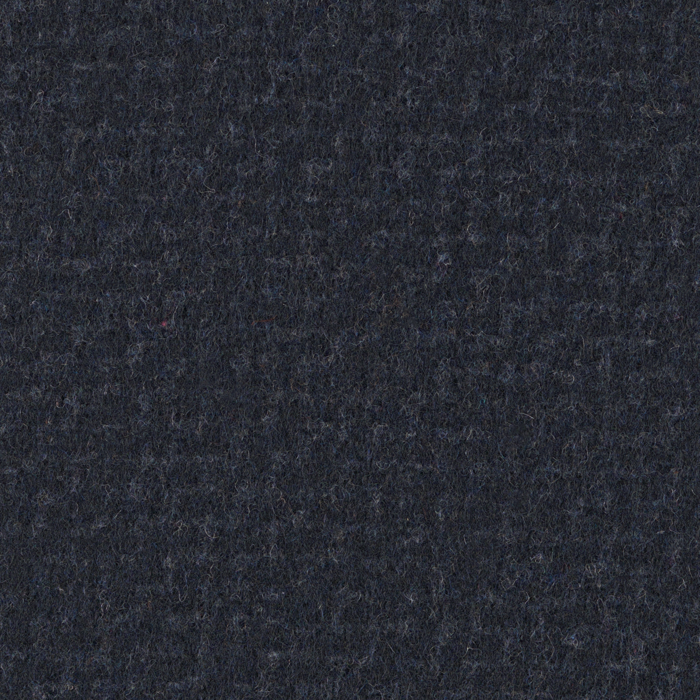 NAVY NAVY
