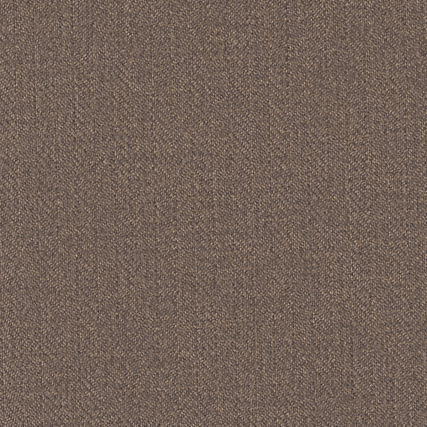 Cashew Brown