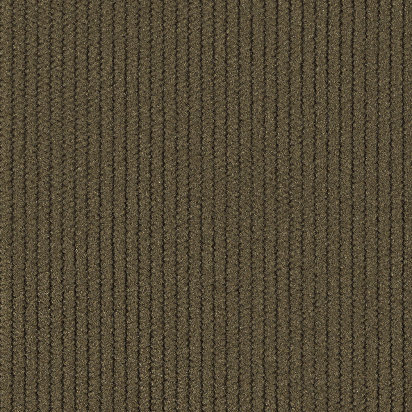 Green Olive